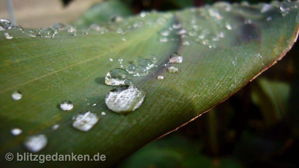 Den Blick aufs Besondere lenken - Sinn der Fotografie