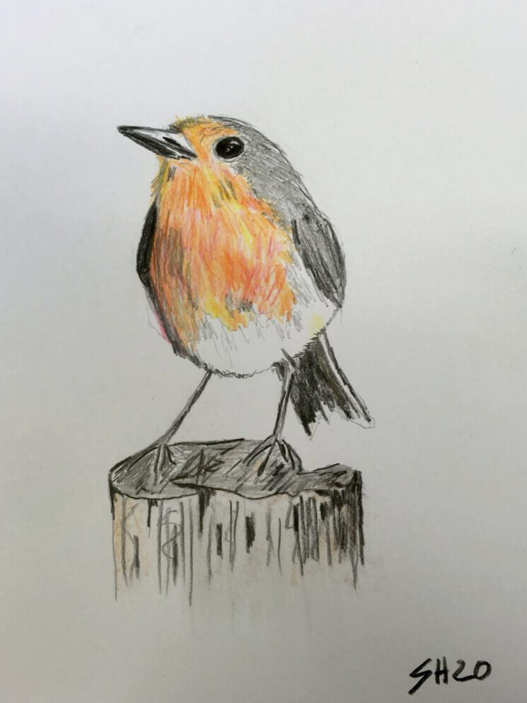 analoge Zeichnung – Beispielwerk