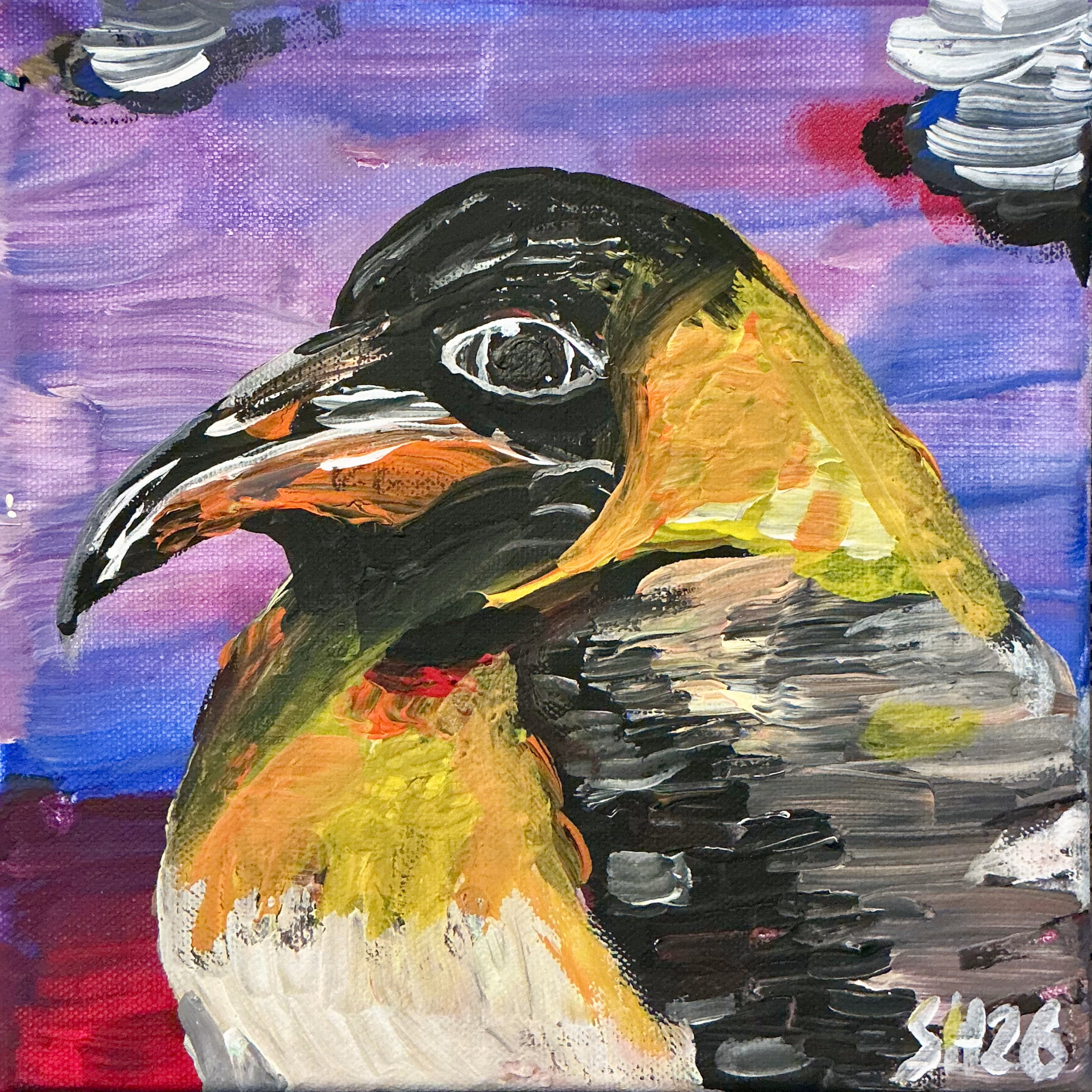 Pinguin in Abendfarben