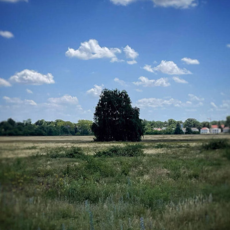 Der Philosoph auf Reise 