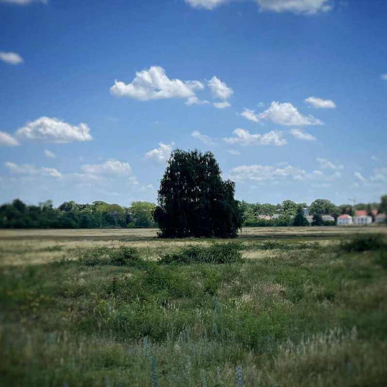 Der Philosoph auf Reise
