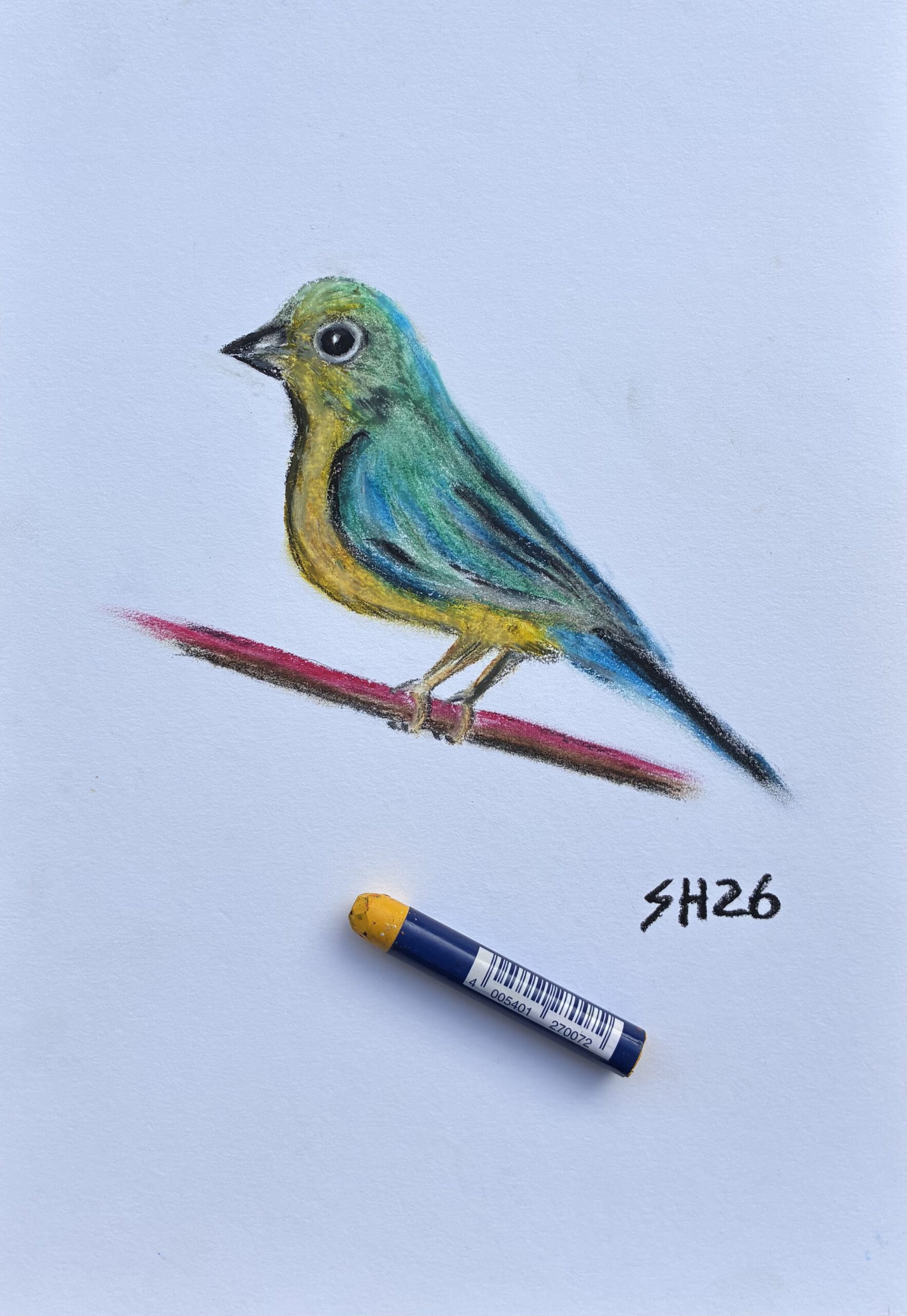 Passerina